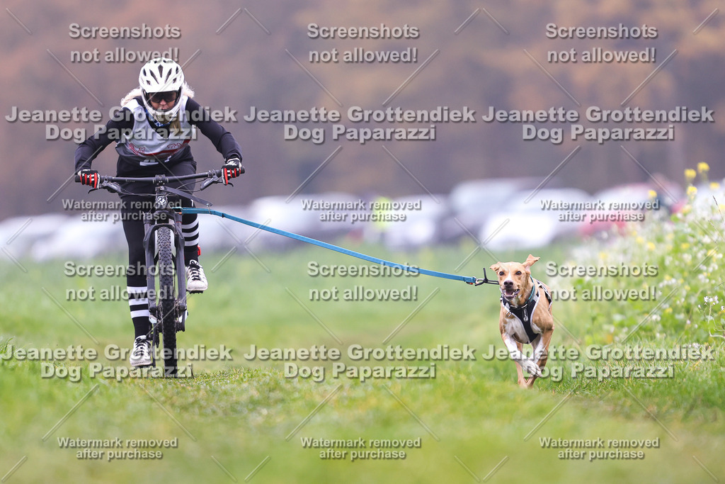 Dog Paparazzi - Visbeck 25 -158 | Dog Paparazzi Jeanette Grottendiek Fotografie & Videografie - Realisiert mit Pictrs.com