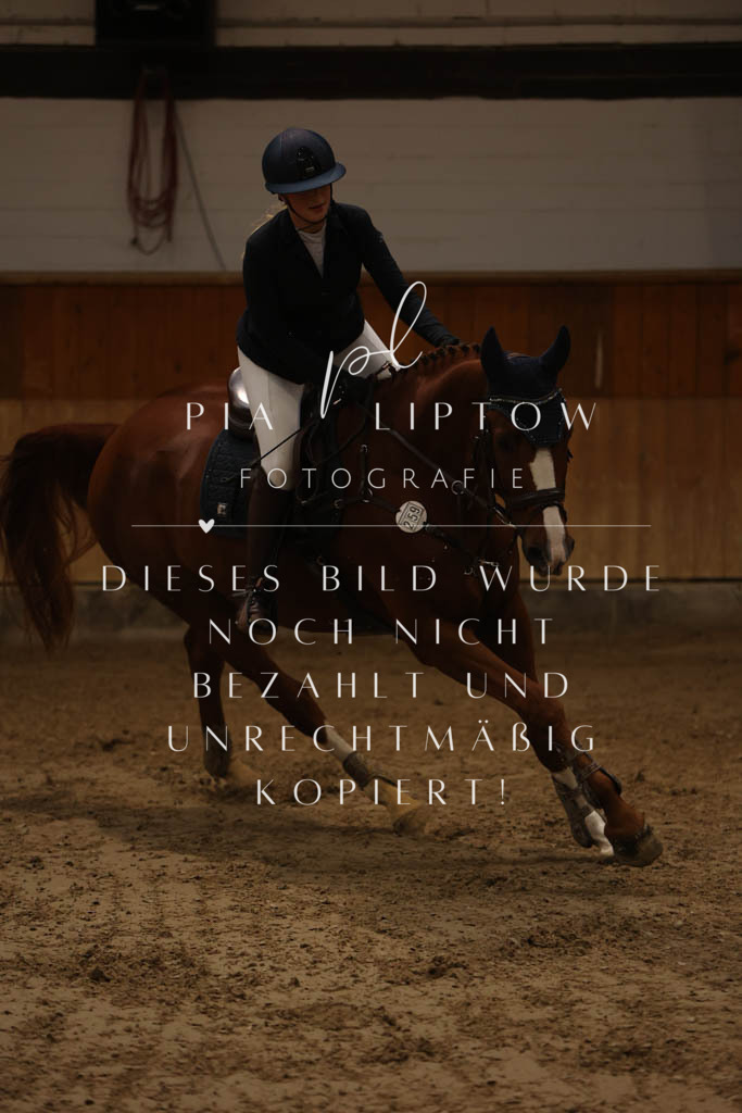 IMGM2690 | pl-fotografie