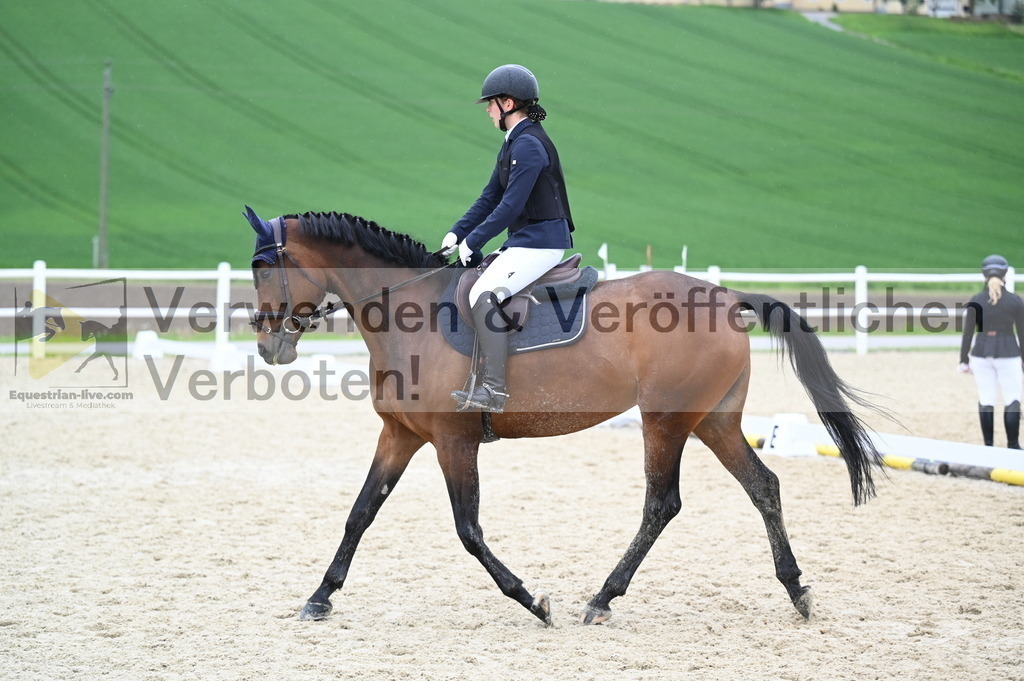 DSC_0230 | equestrian-live-com