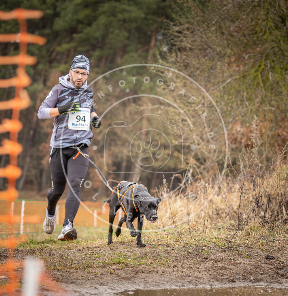 DV3A0506 | Hundefotografie, Tierfotograf, Pfotenfotografie, Fotoshooting Hund, Hunde Portrait, Hundesport, Hundeportraits, Heideshooting, Hunde, Sportfotograf, Hundefotograf, Turnierhundsport, THS,  - Realisiert mit Pictrs.com