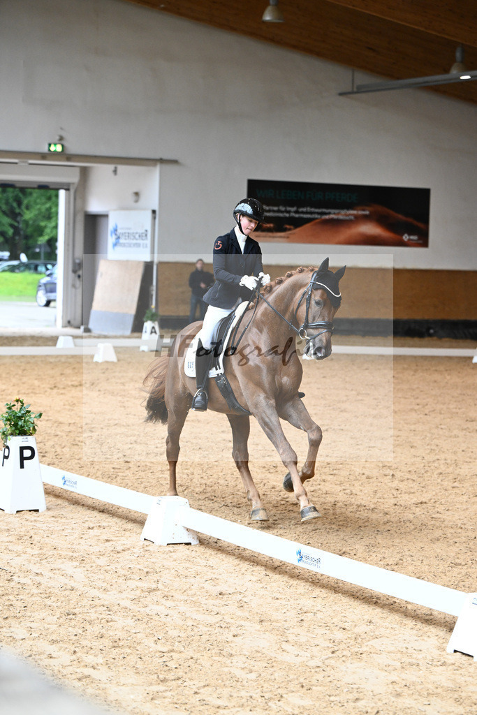 Kat-Nr. 9 Beau W_Wagner_14240262 | hf-fotografie - Realizzato con Pictrs.com