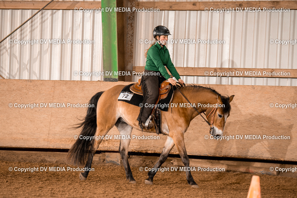 BA300631 | dv-media-shop - Realisiert mit Pictrs.com