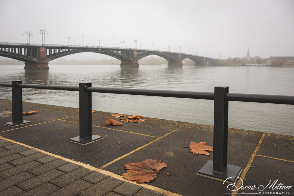 Die Theodor-Heuss-Brücke zwischen Mainz und Wiesbaden | Die Theodor-Heuss-Brücke zwischen Mainz und Wiesbaden