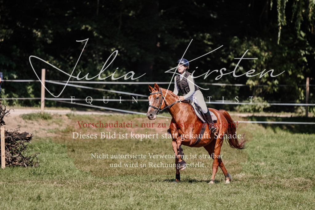 DSC_2679 | Pferde- und Turnierfotografie in Westsachsen. Pferdeportraits, Auftragszeichnungen und intuitive Kunst.