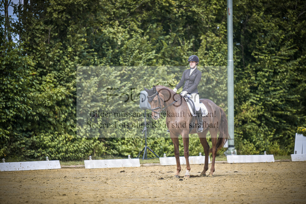DOS_3006 | Entdecke hochwertige Reitturnierfotos von Foto Oger. Professionell, emotional und authentisch – jetzt Lieblingsmomente im Shop bestellen.Deutschlandweite Turnierfotografie. - Realisiert mit Pictrs.com