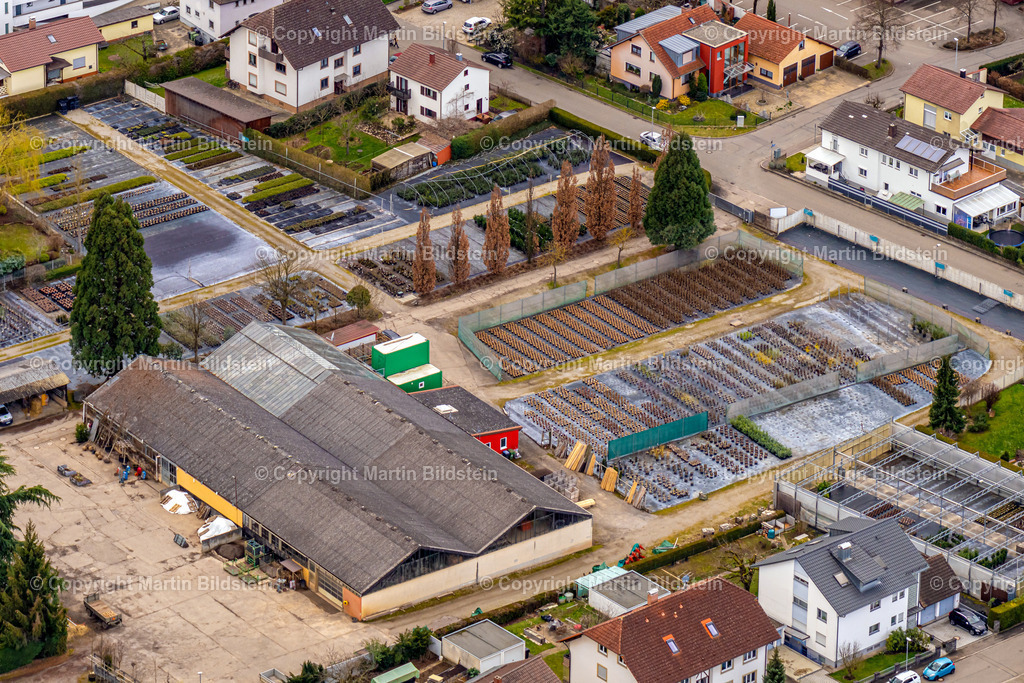 Ettenheim-1-12-03-23-1-34 | Bilder Fotos Luftbilder Luftaufnahmen Deutschland Süden Westen Schwarzwald Baden Württemberg  