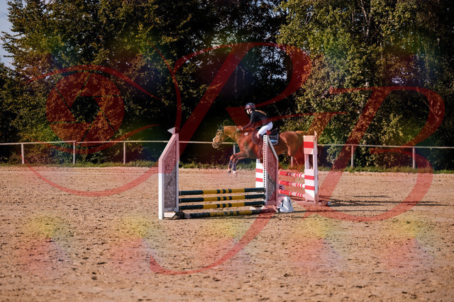 2026_10_03_Siefer-Hof_155815_Z81_78141880 | Professionelle Reitsport-, Turnier- und Eventfotografie von Robert Broda. Galerien mit ausgewählten und bearbeiteten Bildern direkt online ansehen und bestellen.