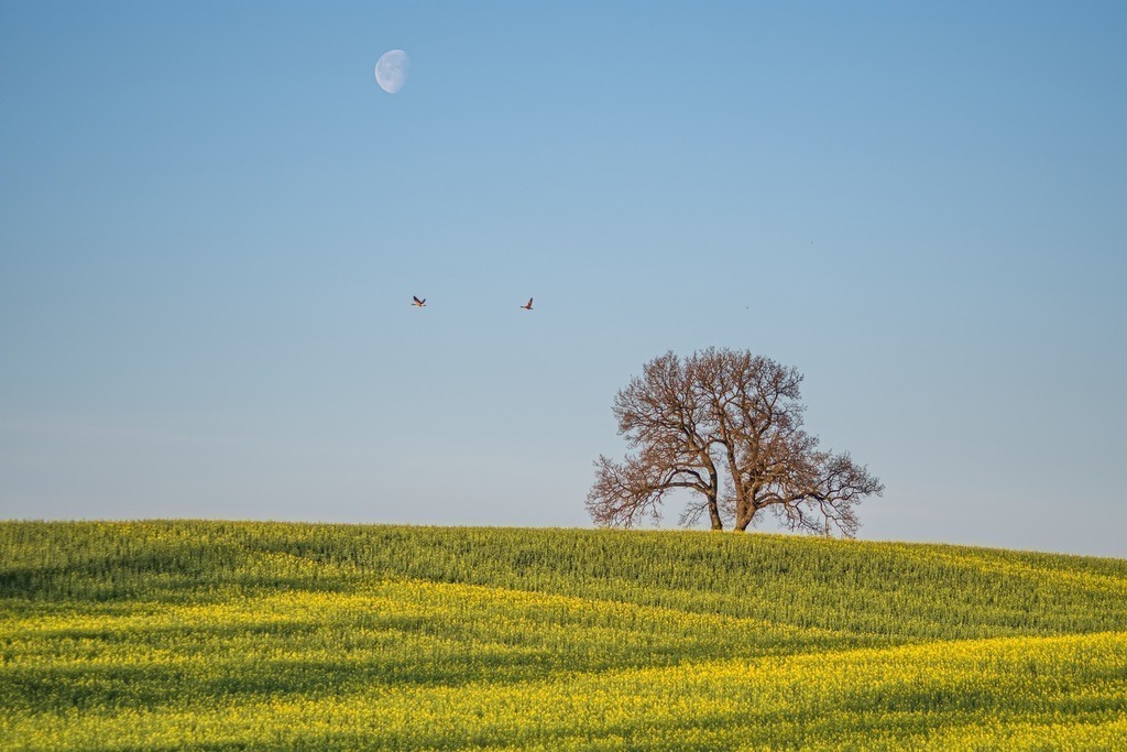 DSCF5131-Bearbeitet | Entdecken Sie hochwertige Fotoprodukte für Ihr Zuhause, Büro oder als besonderes Geschenk.rpixel.de bietet Ihnen exklusive Fotografien aus den Bereichen Natur, Landschaft und Motiven vom Meer.Einfach direkt im Online-Shop bestellen. - Realisiert mit Pictrs.com