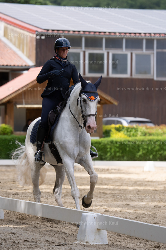 WS_DR_52_SinaFilmArt_IN01517 | working equitationturnier fotograf videograf stoibphotography marixx film working equitation deutschland reitsport turnierfotografie eventfotografie equestrian events