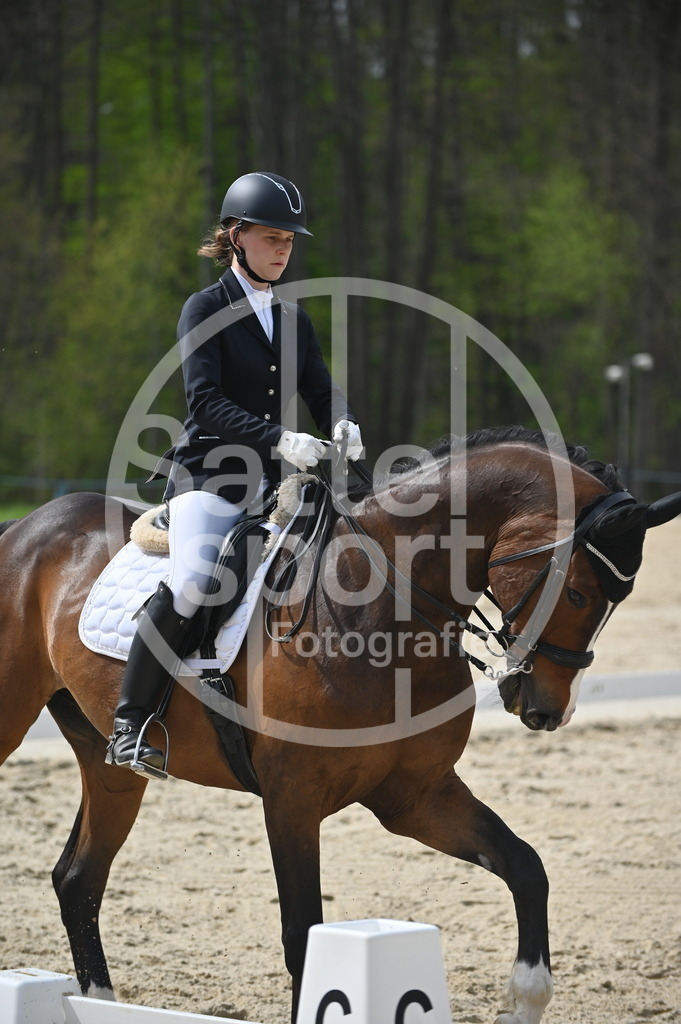 DSC_4225 | sattelsport - Realisiert mit Pictrs.com