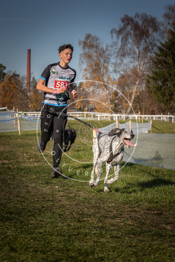 CaniXpix_0L8A8202 | Hundefotografie, Tierfotograf, Pfotenfotografie, Fotoshooting Hund, Hunde Portrait, Hundesport, Hundeportraits, Heideshooting, Hunde, Sportfotograf, Hundefotograf, Turnierhundsport, THS,  - Realisiert mit Pictrs.com