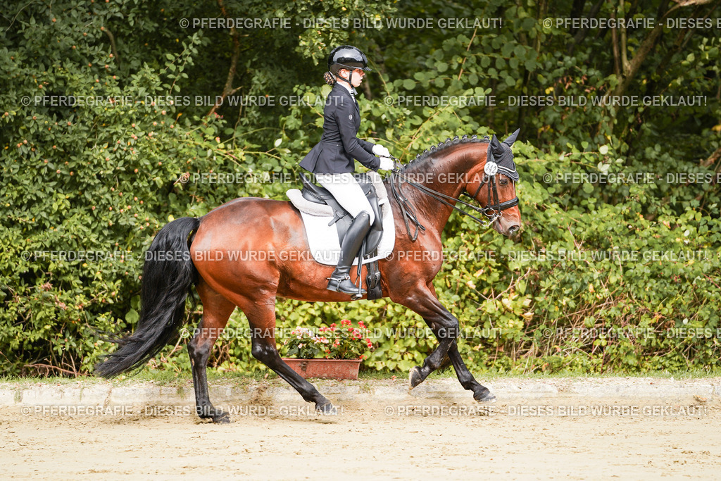 DSC02030 | Pferdegrafie