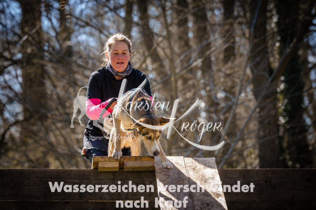 1001_ZZ96994 | kk-dogfotos