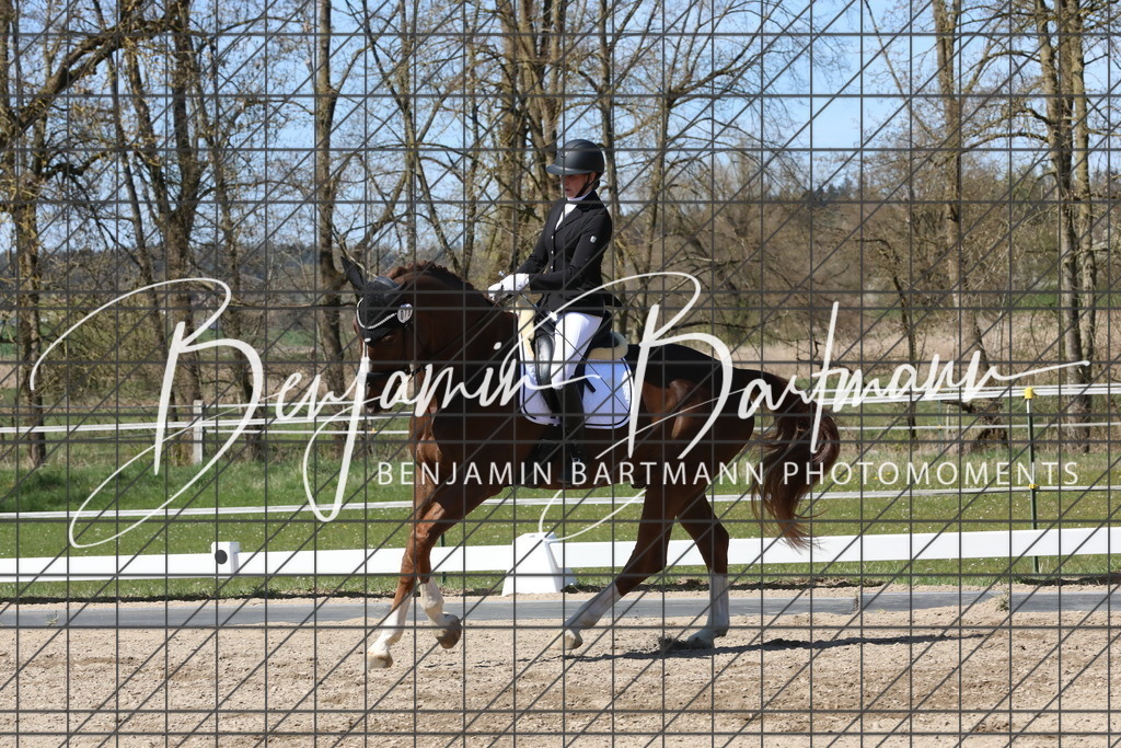 AZ2A4313 | Benjamin Bartmann Photomoments