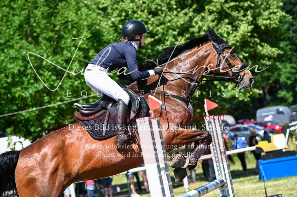 DSC_1528 | Pferde- und Turnierfotografie in Westsachsen. Pferdeportraits, Auftragszeichnungen und intuitive Kunst.