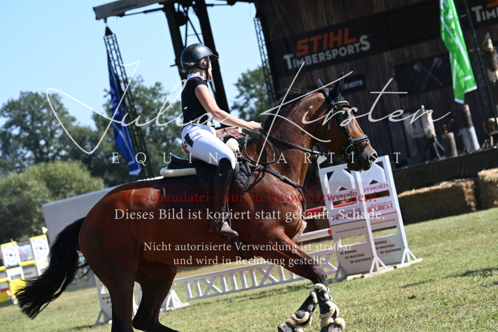 DSC_6437 | Pferde- und Turnierfotografie in Westsachsen. Pferdeportraits, Auftragszeichnungen und intuitive Kunst.