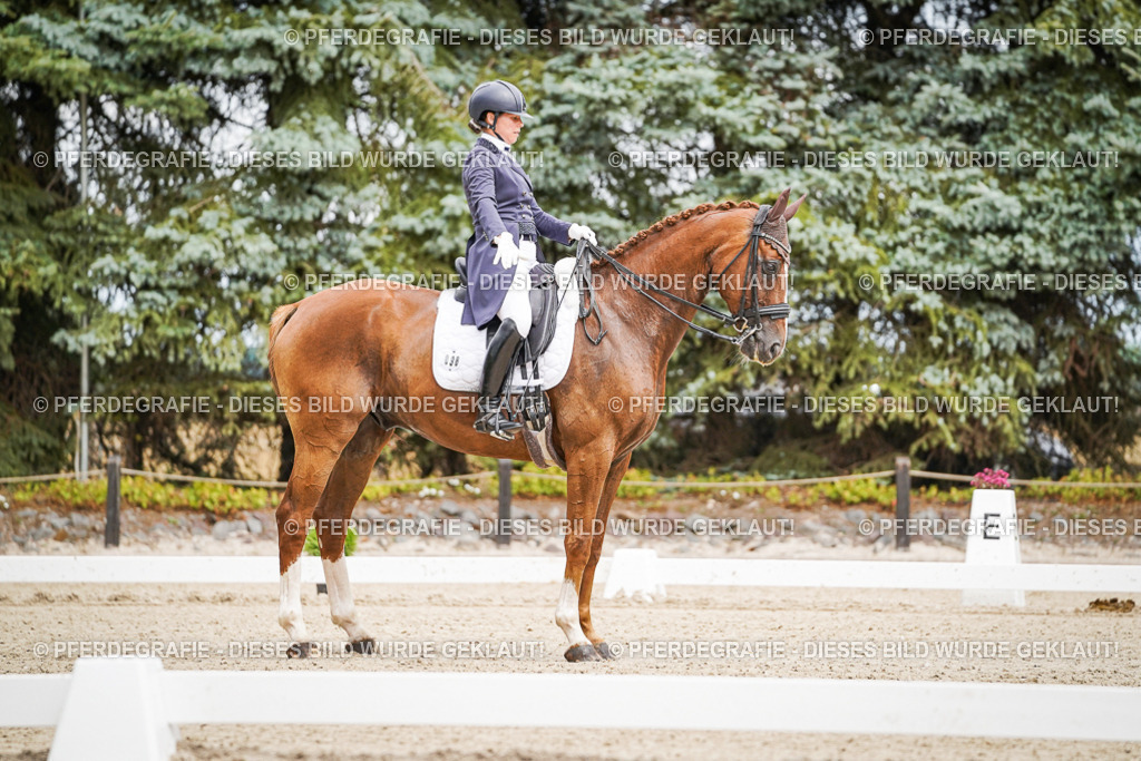 DSC04876 | Pferdegrafie