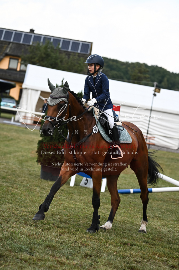 DSC_5687 | Pferde- und Turnierfotografie in Westsachsen. Pferdeportraits, Auftragszeichnungen und intuitive Kunst.