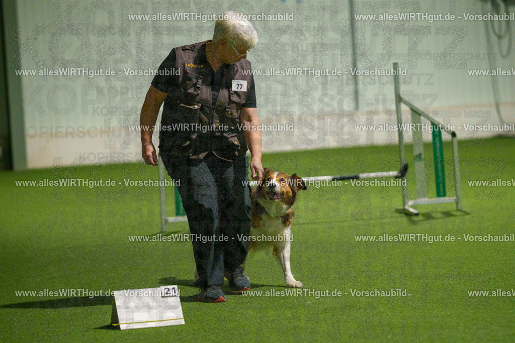 7R508829 | Professionelle Tierfotografie in Mönchengladbach von Daniel Wirth (allesWIRTHgut). Liebevolle & natürliche Bilder von Hunden & Katzen für unvergessliche Erinnerungen.