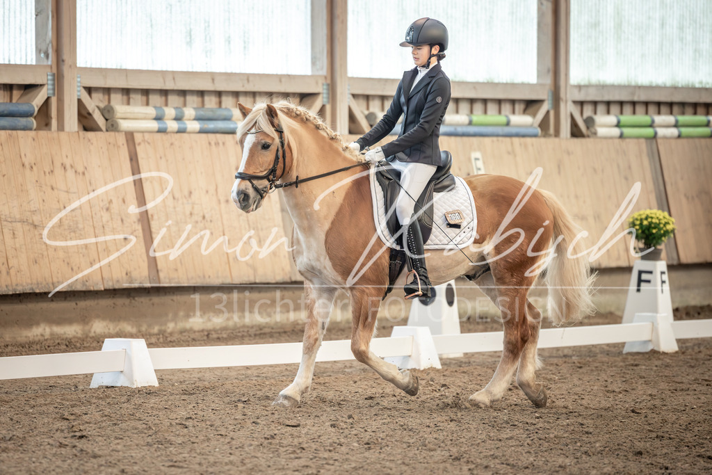 20251011-_3LI6617 | Tierfotografie Pferde, Hunde, Katzen, Haustiere.
Turnierfotografie Reitturniere, Reiten, Springreiten, Dressur in Hanau, dem Main-Kinzig-Kreis und dem Rhein-Main- Gebiet um Frankfurt