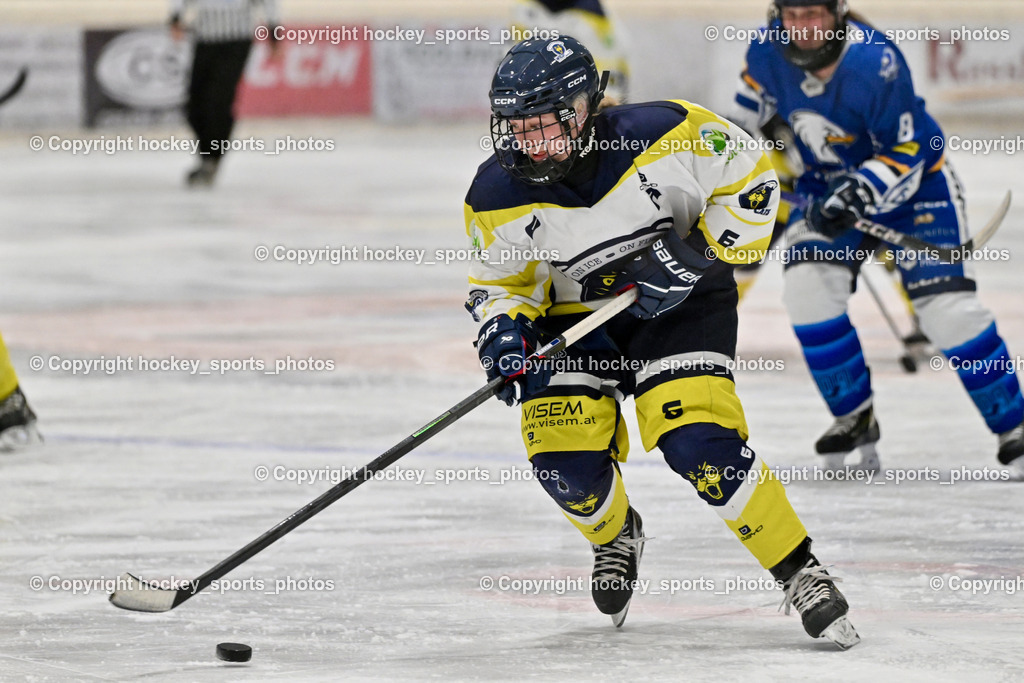 Wildcats Paternion vs. Lady Hawks  | #6 Jelovcan Selina WILDCATS PATERNION, Wildcats Paternion vs. Lady Hawks , Wildcats Paternion vs. Lady Hawks  am 27.01.2025 in Spittal an der Drau (Eissportzentrum Spittal), Austria, (Photo by Bernd Stefan)