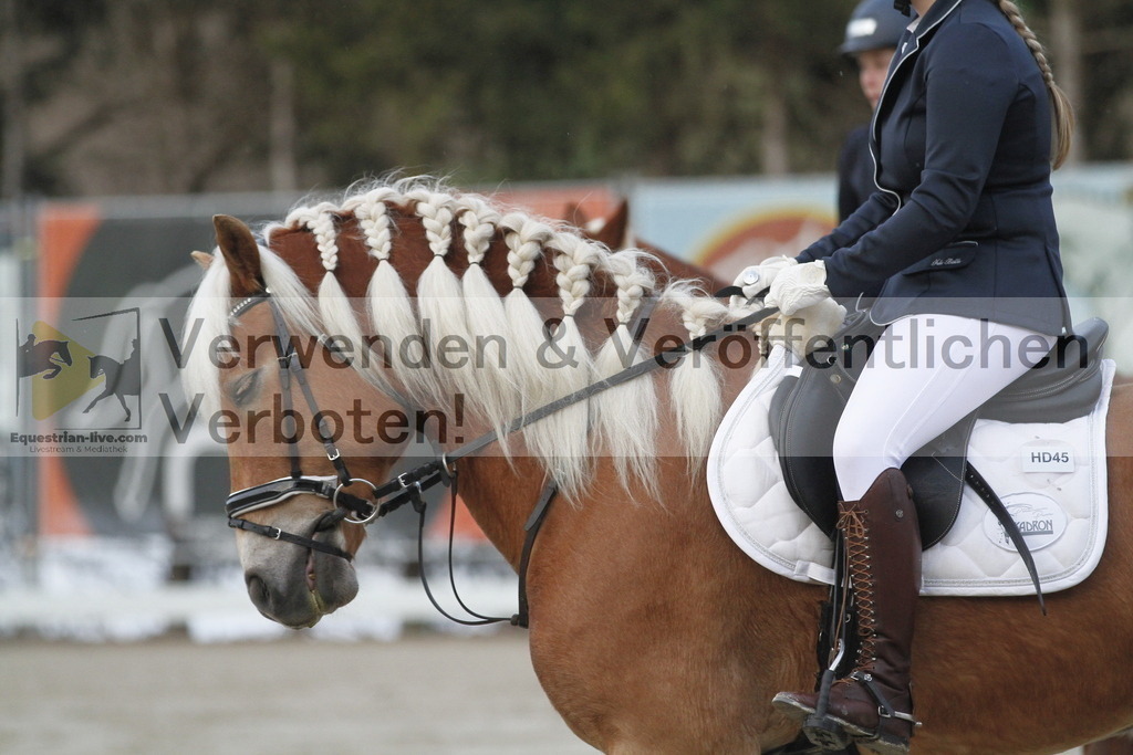 _MG_3524 | equestrian-live-com