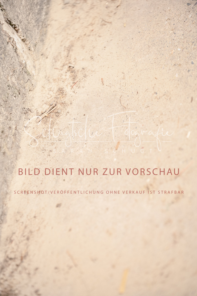 Schugtsche-Aluta25-48.Reitpferfdeprf.-179 | Schugtsche Fotografie - Realisiert mit Pictrs.com