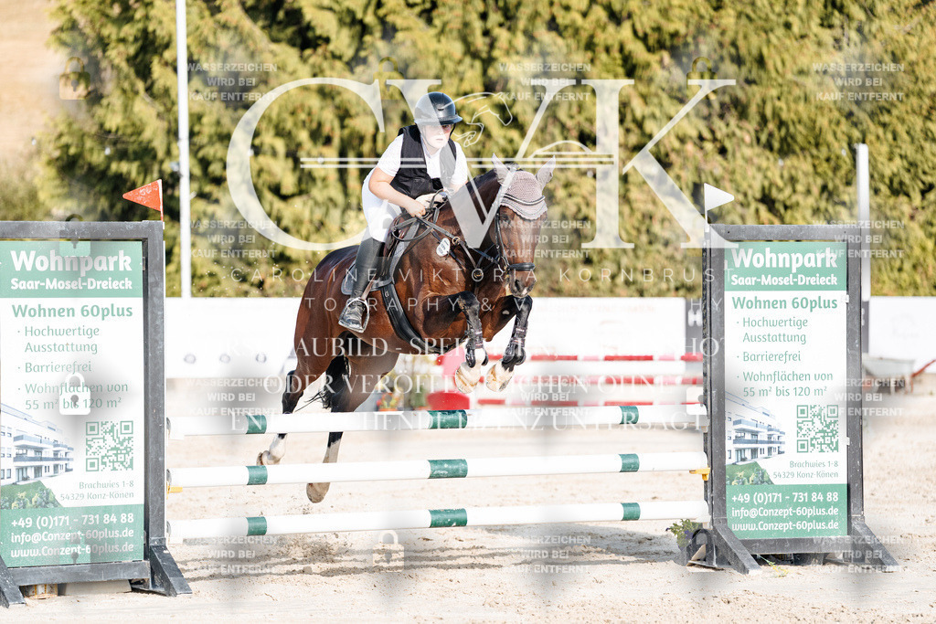 CK909575 | Turnierfotografie Pferdefotografie Trier Rheinland-Pfalz Pferdesport Reitsport Tierfotografie Sportfotografie Pferdevideo Pferdevideografie Equestrianvideography equestrianphotography  - Realisiert mit Pictrs.com