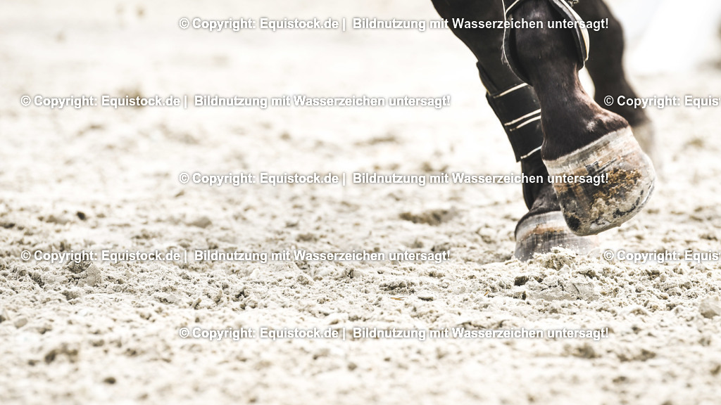 TS_20170730_Pferdef____e_Sand_0002 | Foto: Thomas Hartig