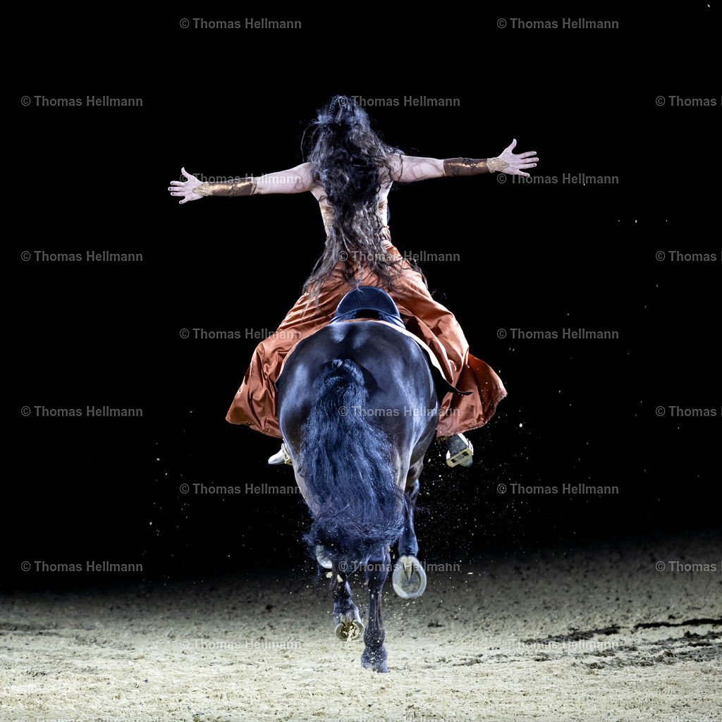 TH_Hop Top Show_26791 | EQUITANA 2025 am 07.03.25 in Essen