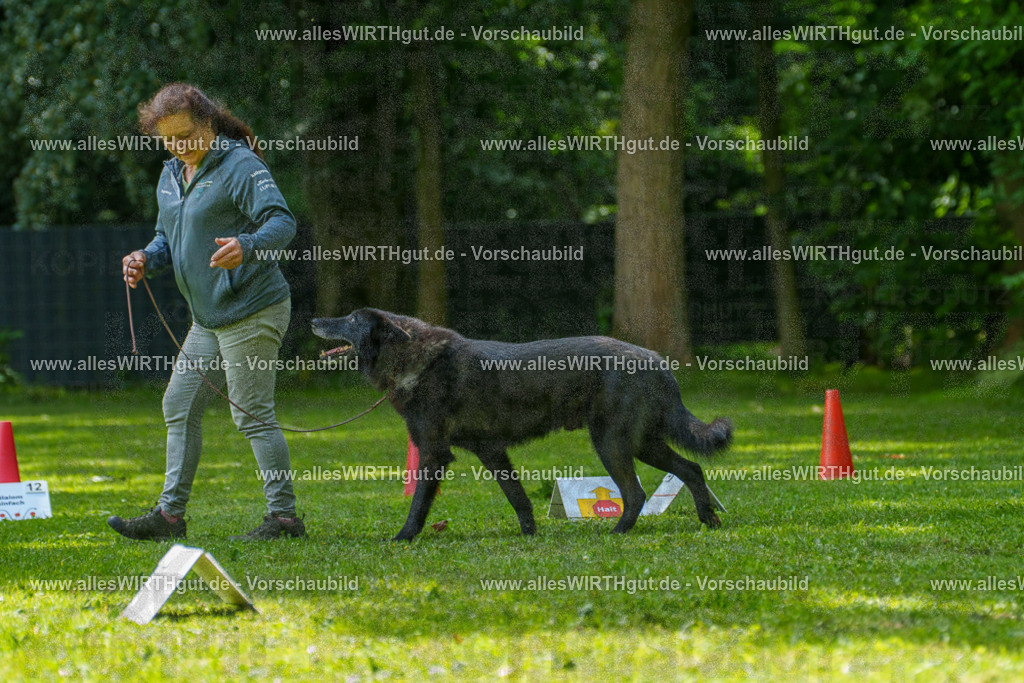 @allesWIRTHgut_Tierfotografie - www.allesWIRTHgut.de - 7R504717 | Professionelle Tierfotografie in Mönchengladbach von Daniel Wirth (allesWIRTHgut). Liebevolle & natürliche Bilder von Hunden & Katzen für unvergessliche Erinnerungen.