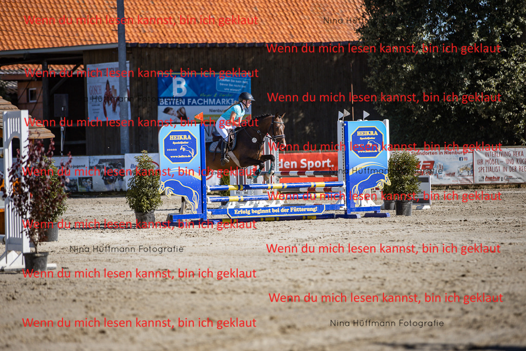 BK1A8024 | Turnierbilder Turnierfotos Nina Hüffmann Turnierfotografie Pferdefotografie Tierzeichnung Haustierzeichnung Pferdezeichnung Hundezeichnung Videograf  - Realisiert mit Pictrs.com