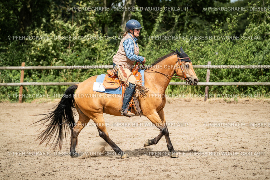 DSC01907 | Pferdegrafie