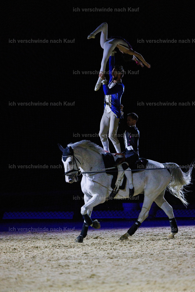 FHClassics-226 | working equitationturnier fotograf videograf stoibphotography marixx film working equitation deutschland reitsport turnierfotografie eventfotografie equestrian events