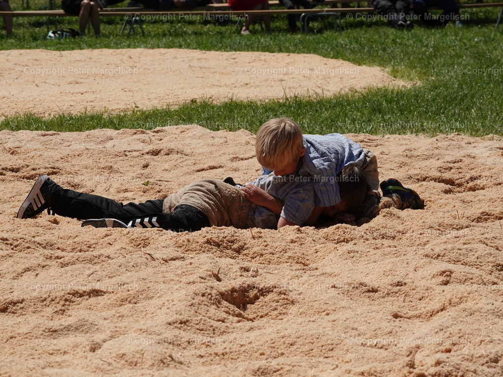 DSC04733 | Schwingen - Realisiert mit Pictrs.com