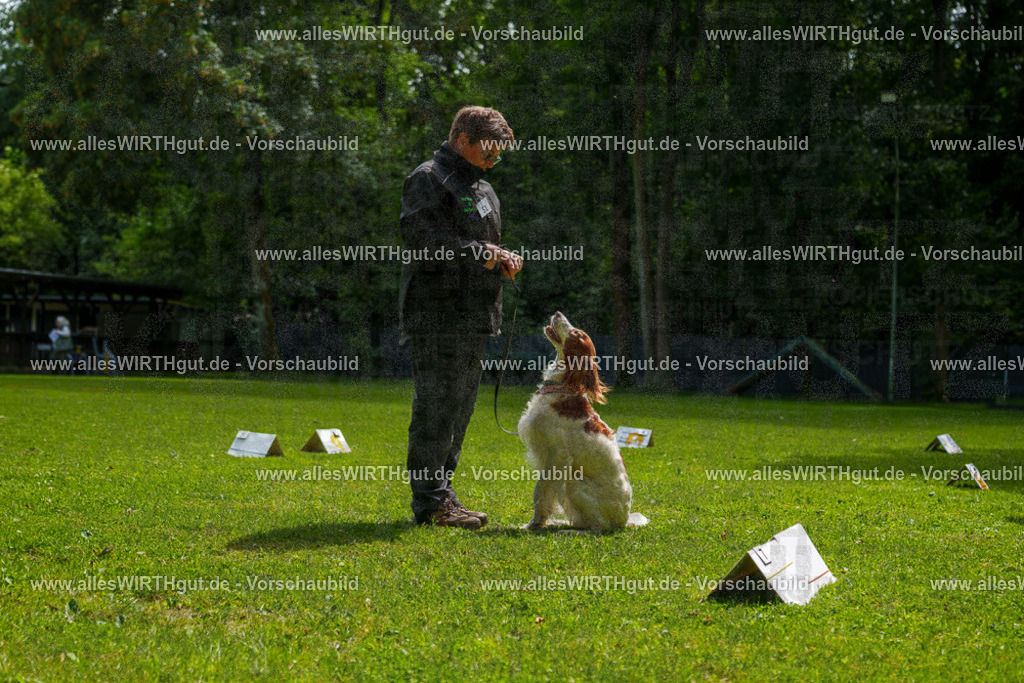 @allesWIRTHgut_Tierfotografie - www.allesWIRTHgut.de - 7R505773 | Professionelle Tierfotografie in Mönchengladbach von Daniel Wirth (allesWIRTHgut). Liebevolle & natürliche Bilder von Hunden & Katzen für unvergessliche Erinnerungen.