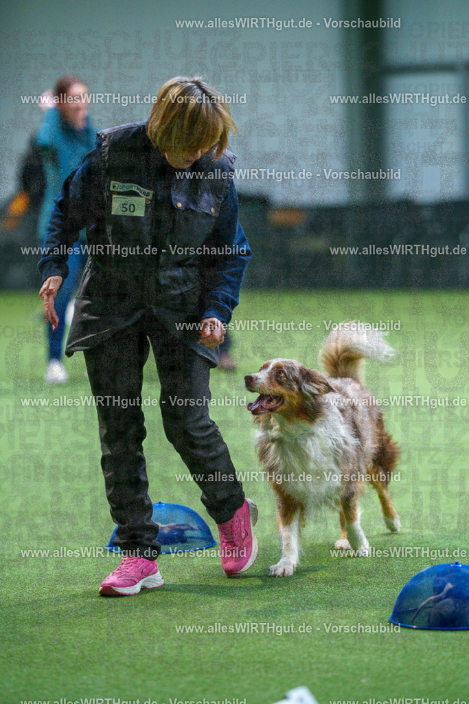 7R506366 | Professionelle Tierfotografie in Mönchengladbach von Daniel Wirth (allesWIRTHgut). Liebevolle & natürliche Bilder von Hunden & Katzen für unvergessliche Erinnerungen.