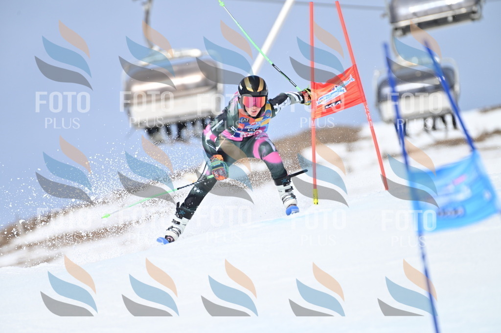 BGV_3422 | holidayphoto