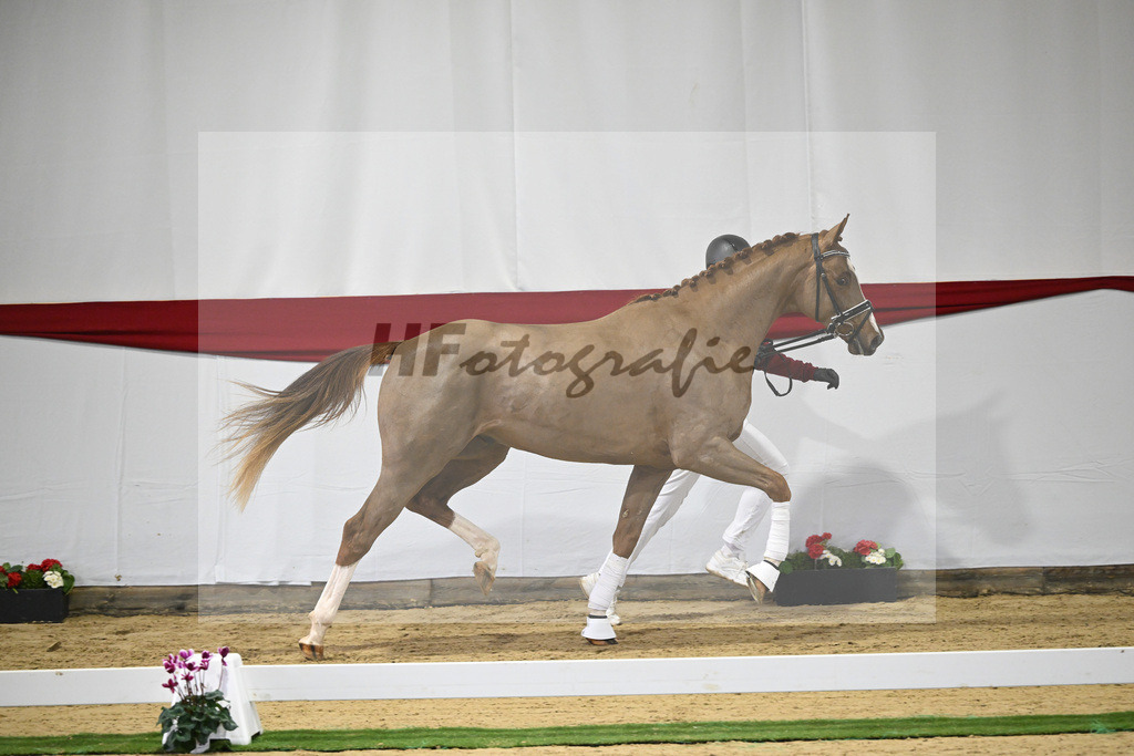 Kat-Nr. 48 v. Danone I_Mueller_63221227 | hf-fotografie - Realizzato con Pictrs.com