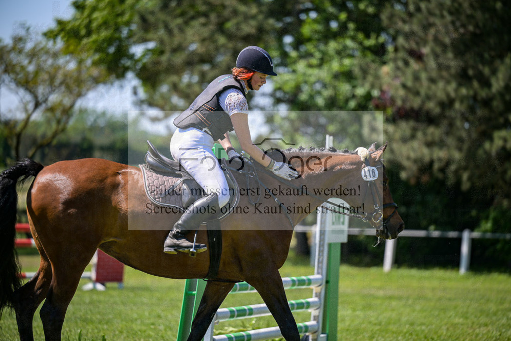 Reitturnier Voxtrup | Entdecke hochwertige Reitturnierfotos von Foto Oger. Professionell, emotional und authentisch – jetzt Lieblingsmomente im Shop bestellen. - Realisiert mit Pictrs.com