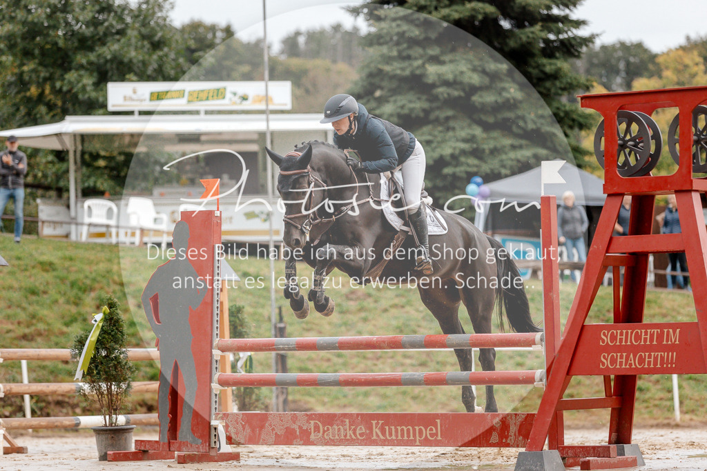 3I6A5548 | Stimmungsvolle Portraits und Reitsportfotografie im Ruhrgebiet und im Münsterland.

Pferdefotografie, Hundefotografie, Tierfotografie, Reportagen, Portraits von Tier und Mensch, Turnierfotografie in Bochum, Recklinghausen, Marl, Haltern am See, Dülmen.. - Realisiert mit Pictrs.com