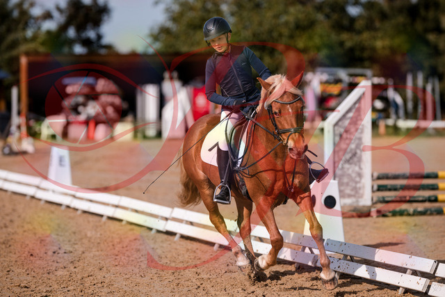 2026_10_03_Siefer-Hof_120352_Z81_06562797 | Professionelle Reitsport-, Turnier- und Eventfotografie von Robert Broda. Galerien mit ausgewählten und bearbeiteten Bildern direkt online ansehen und bestellen.