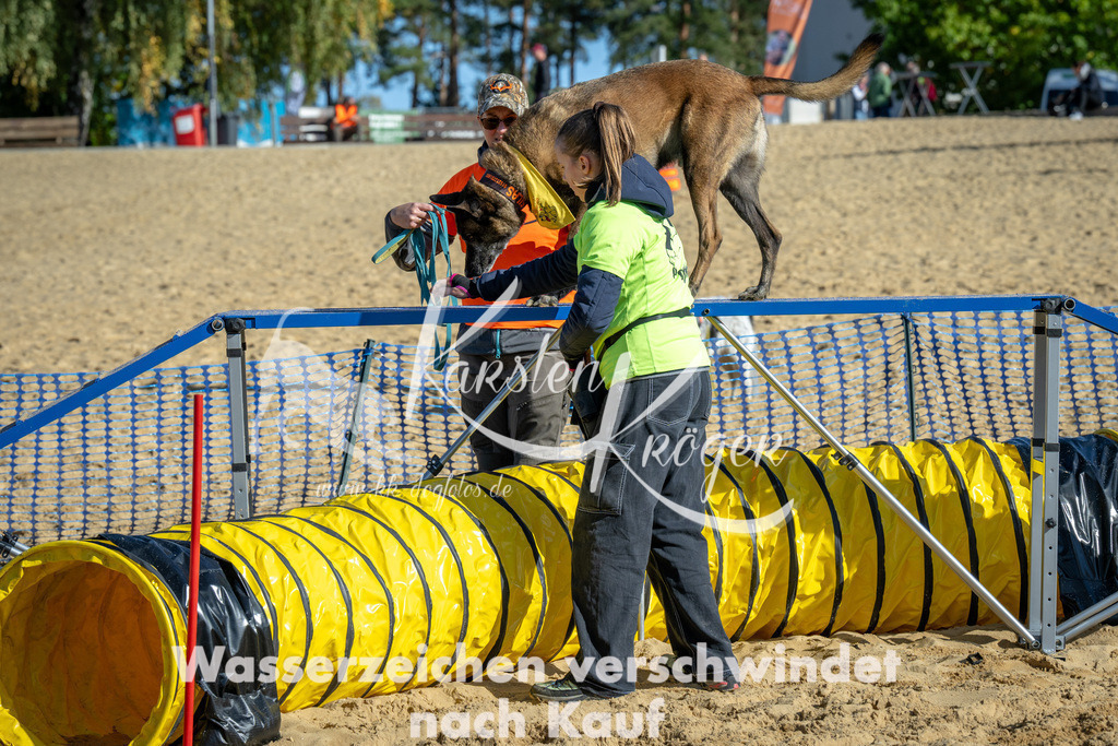 1134_ZZ91500 | kk-dogfotos
