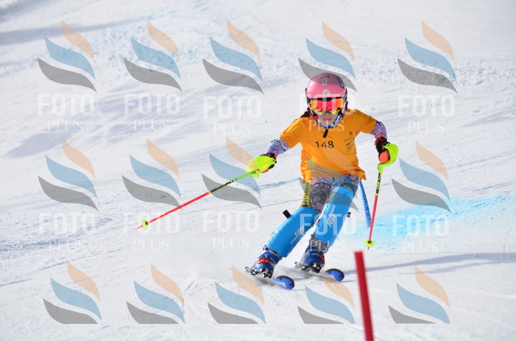 C7738 | holidayphoto