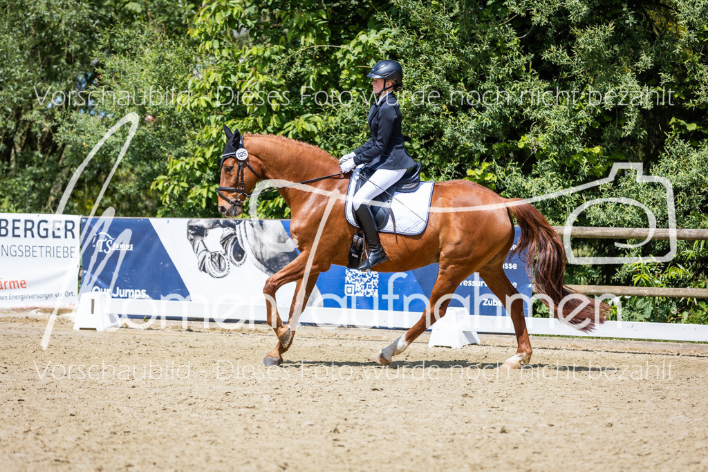 Donop24-EDre-007 | MomenTaufnahmen Pferdesportfotos