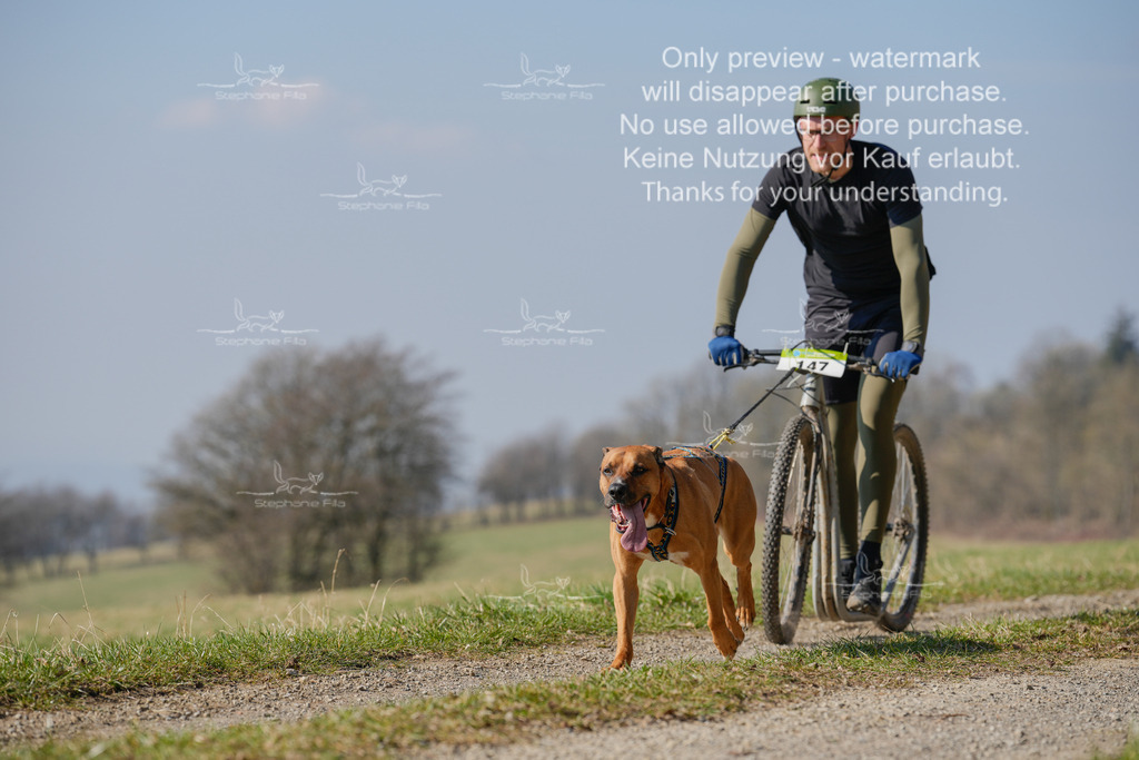 Scooter_Lang-43 | stephaniefillaphotographie - Realisiert mit Pictrs.com