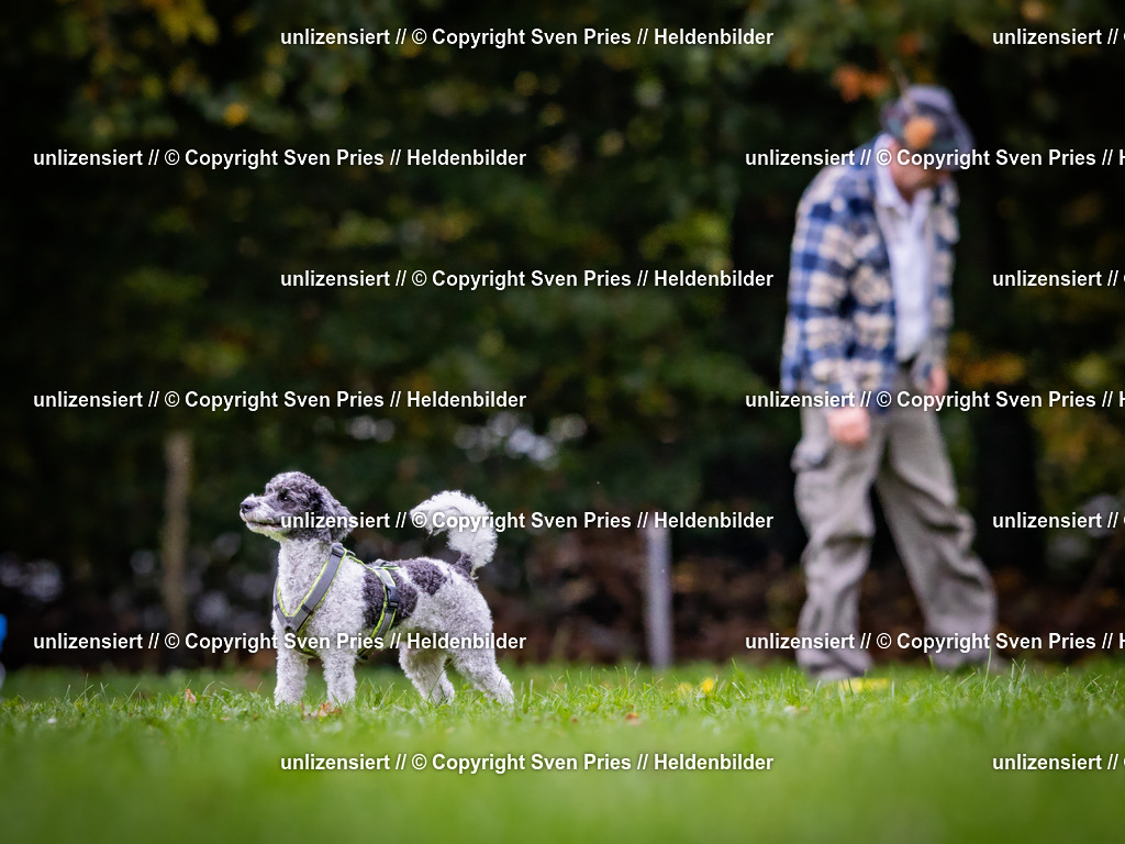 Sven Pries | 2024-10-19 - Hunderennen Ober-Grombach - Realisiert mit Pictrs.com