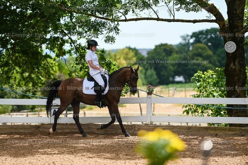 20230715_05_Dressurprüfung Kl.A++_0026 | equistock