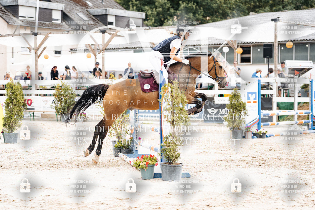 CK908820 | Turnierfotografie Pferdefotografie Trier Rheinland-Pfalz Pferdesport Reitsport Tierfotografie Sportfotografie Pferdevideo Pferdevideografie Equestrianvideography equestrianphotography  - Realisiert mit Pictrs.com