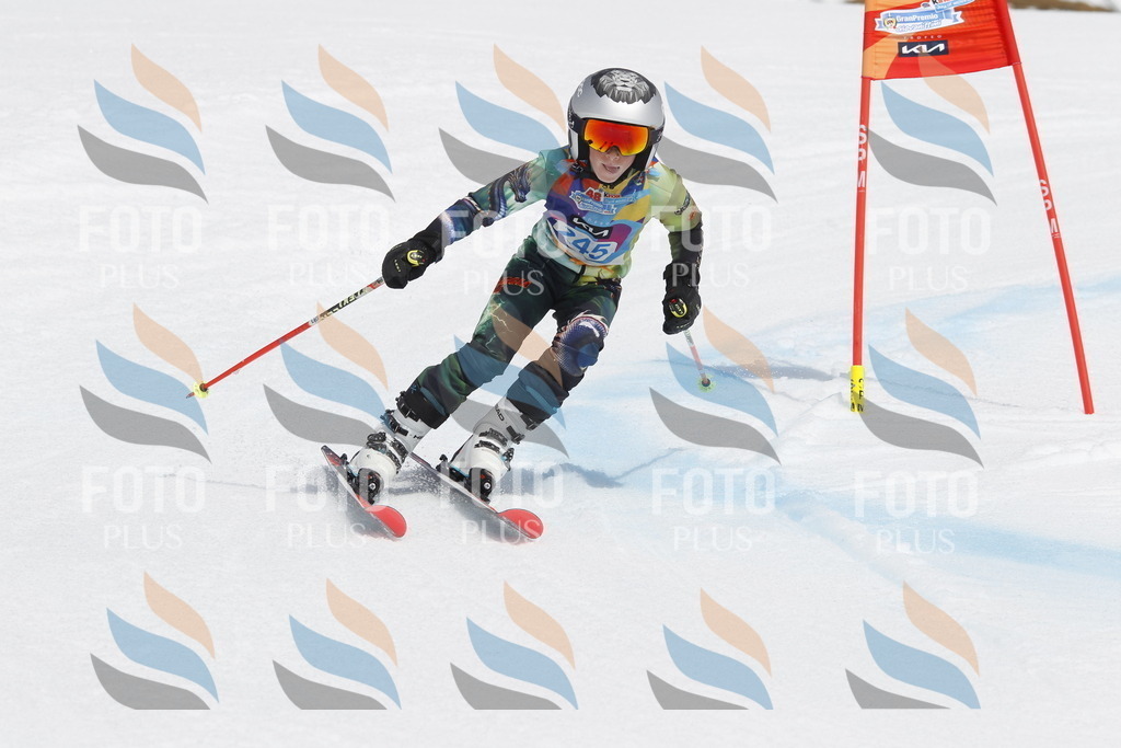 _U3G2796 | holidayphoto